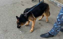 В Лиманском районе возбуждено уголовное дело по факту кражи